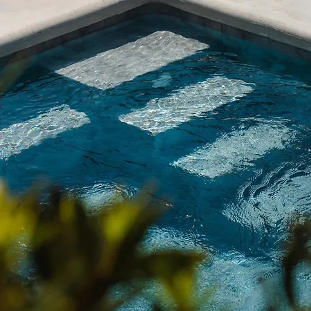 Ammolofos Luxury & 아파트