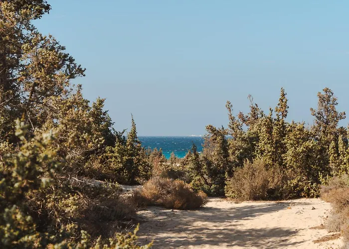 Ammolofos Luxury & *