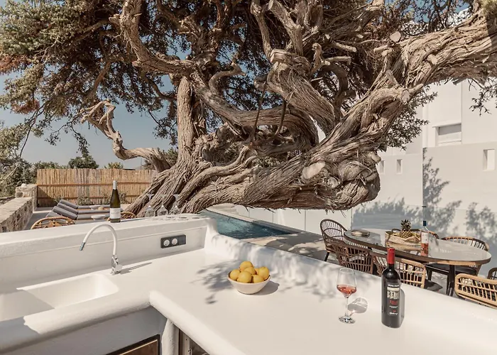 Ammolofos Luxury & * Алико-Бич