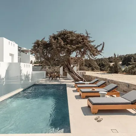 Apartment Ammolofos Luxury & *