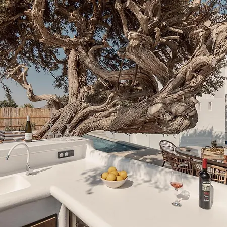 Ammolofos Luxury & Apartment Aliko Beach