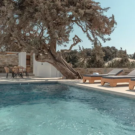 Ammolofos Luxury & Apartment Aliko Beach